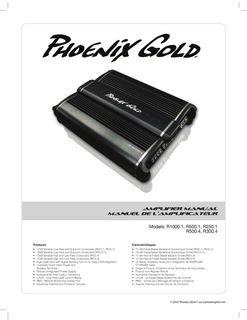 Phoenix Gold R1000.1 user manual