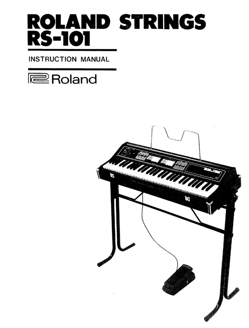 Roland RS-101 Strings User manual