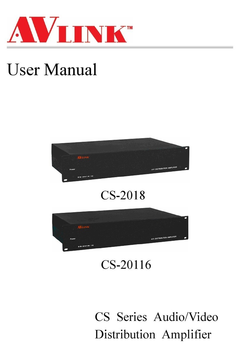 AVLink CS-2018 user manual