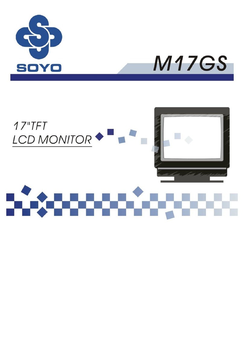 SOYO M17GS User manual