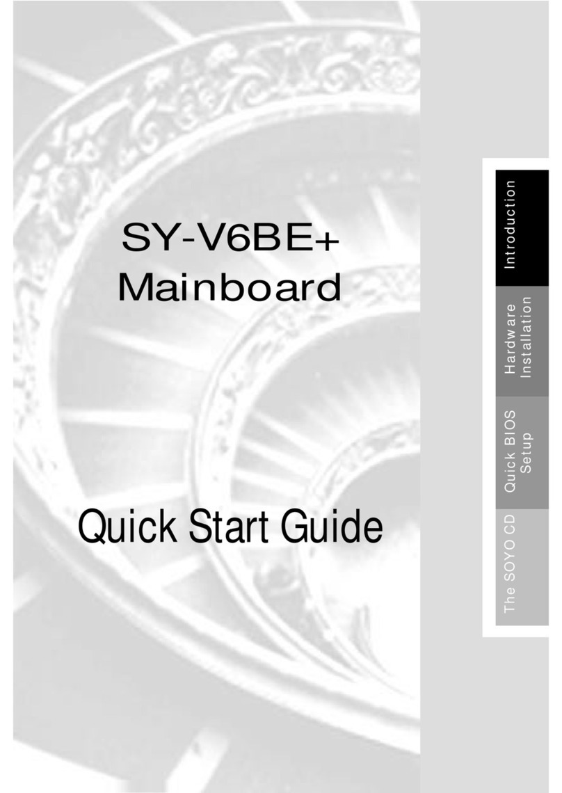 SOYO SY-V6BE+ User manual