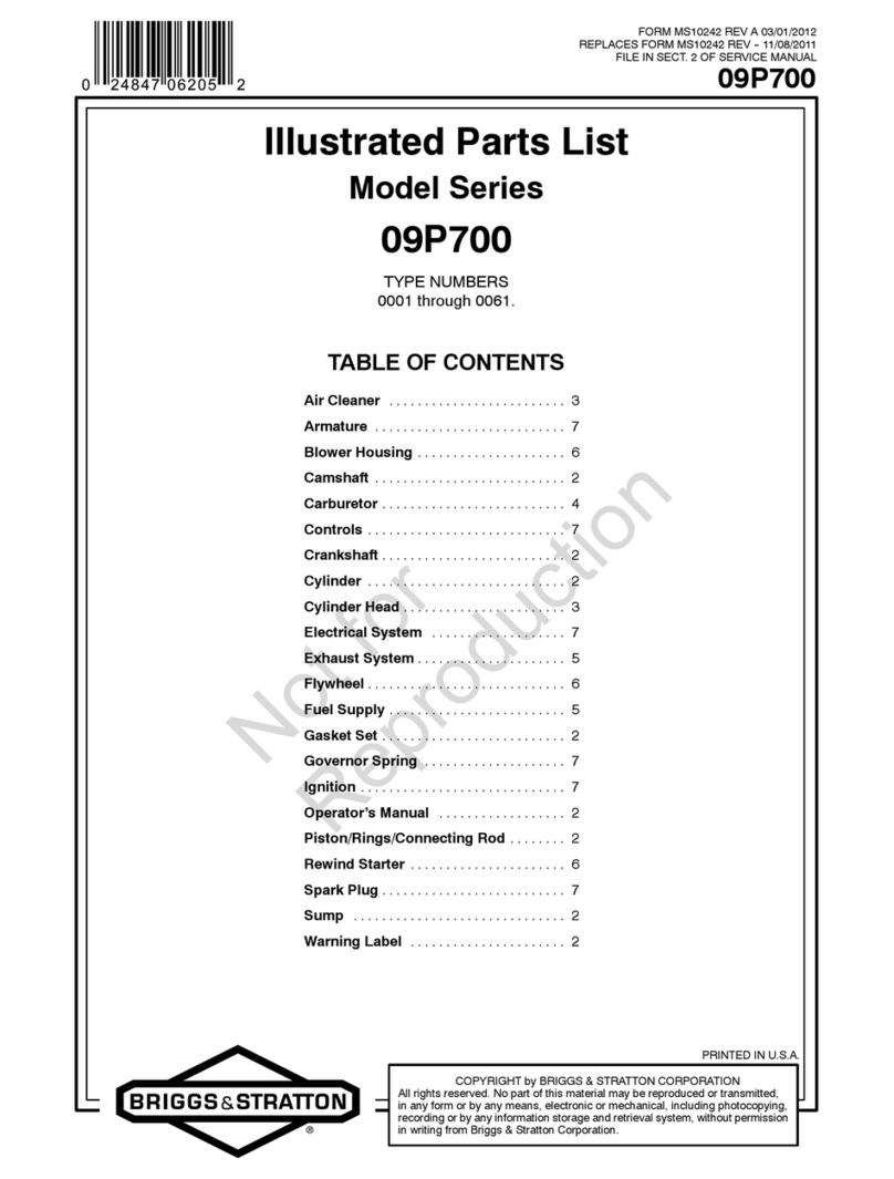 Briggs & Stratton 09P700 Series Setup guide