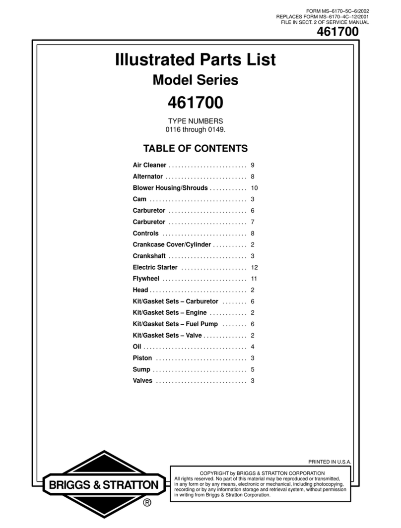 Briggs & Stratton 461700 Series Setup guide