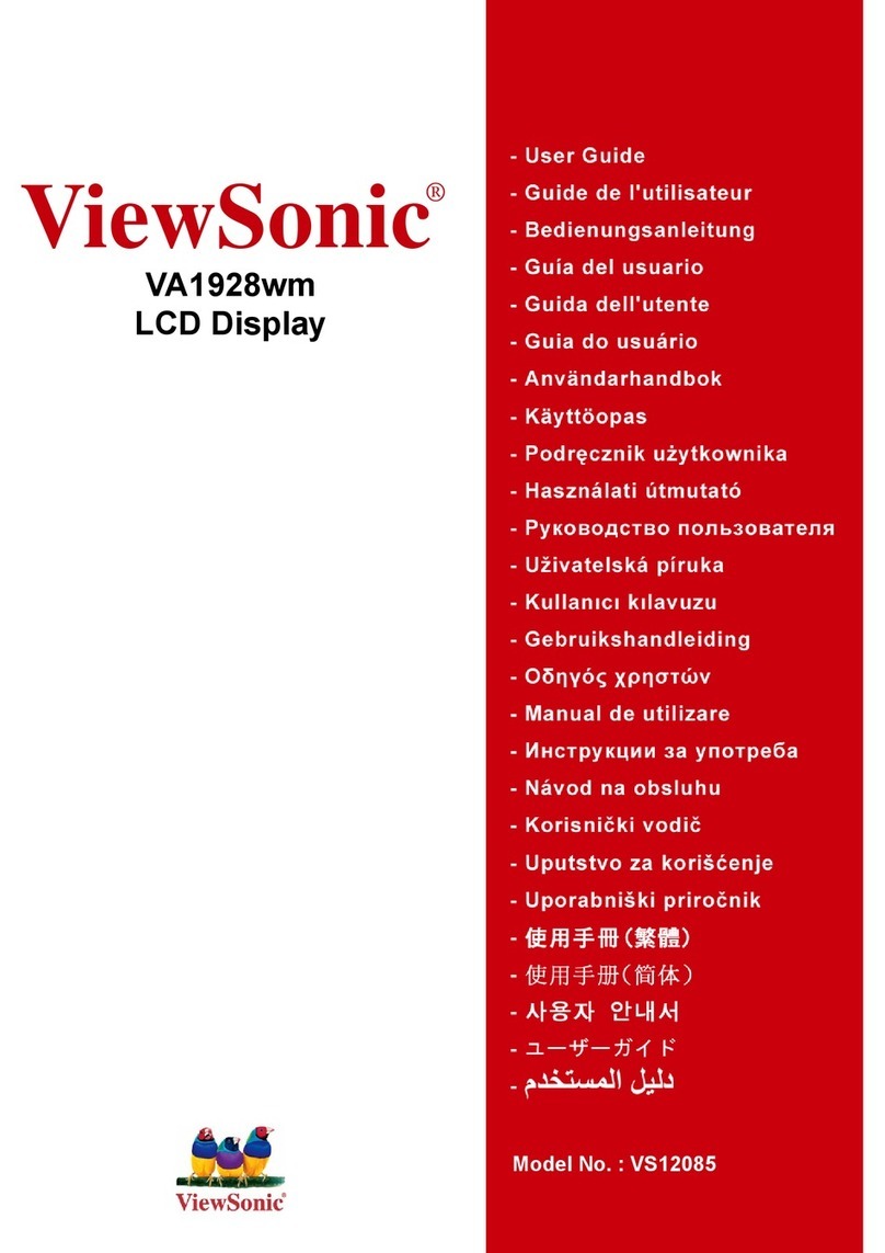 ViewSonic VA1928wm Installation and maintenance instructions