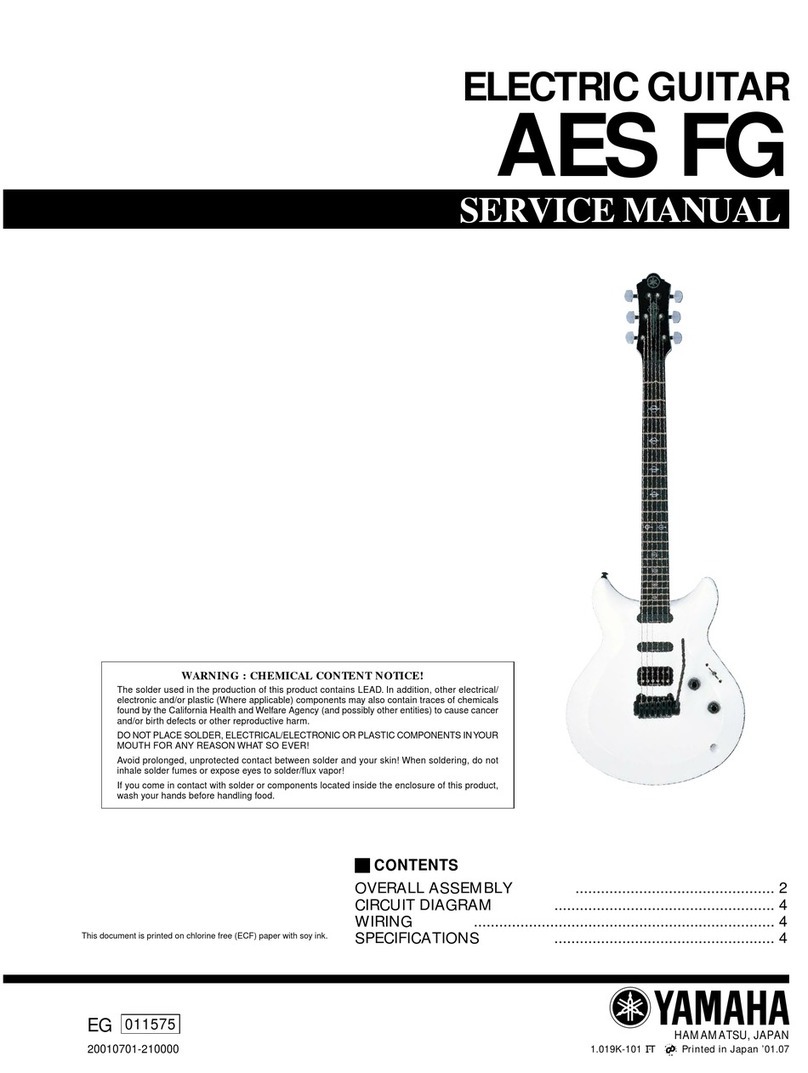 Yamaha AES FG User manual