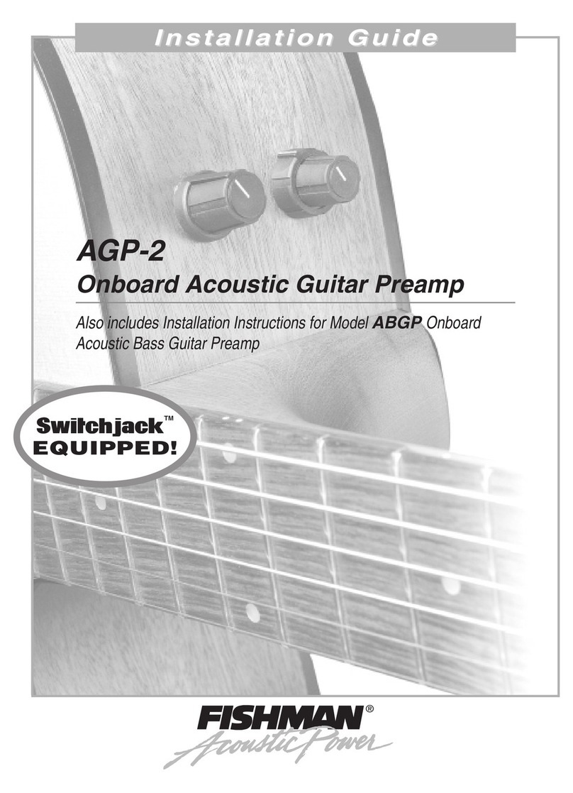 Fishman AGP-2 installation guide