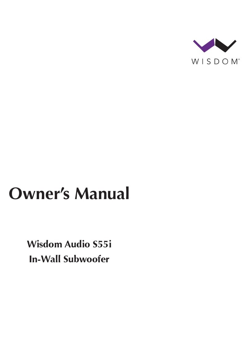 Wisdom S55i User manual