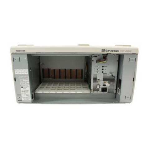 Toshiba Strata AirLink DK424 User manual