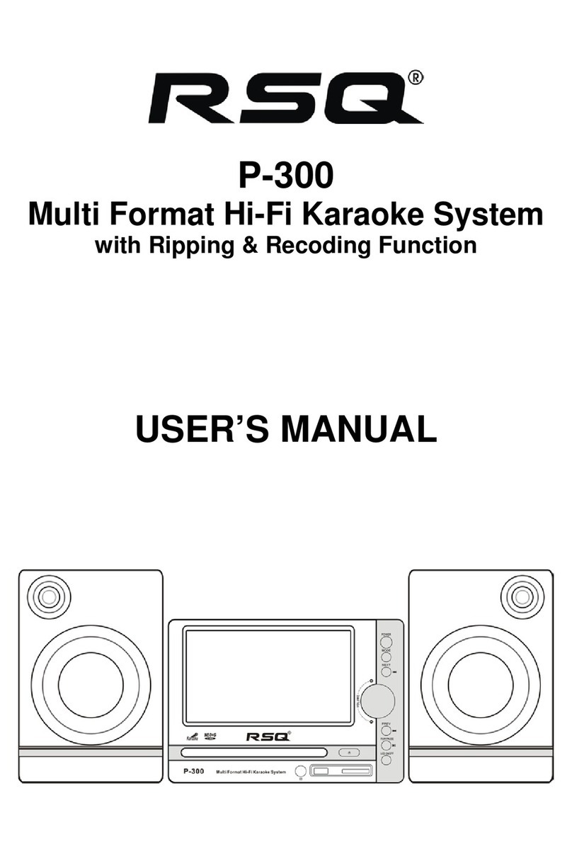 RSQ P-300 User manual