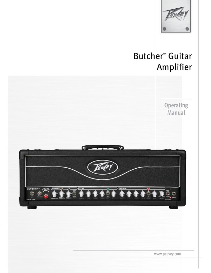 Peavey Butcher User manual