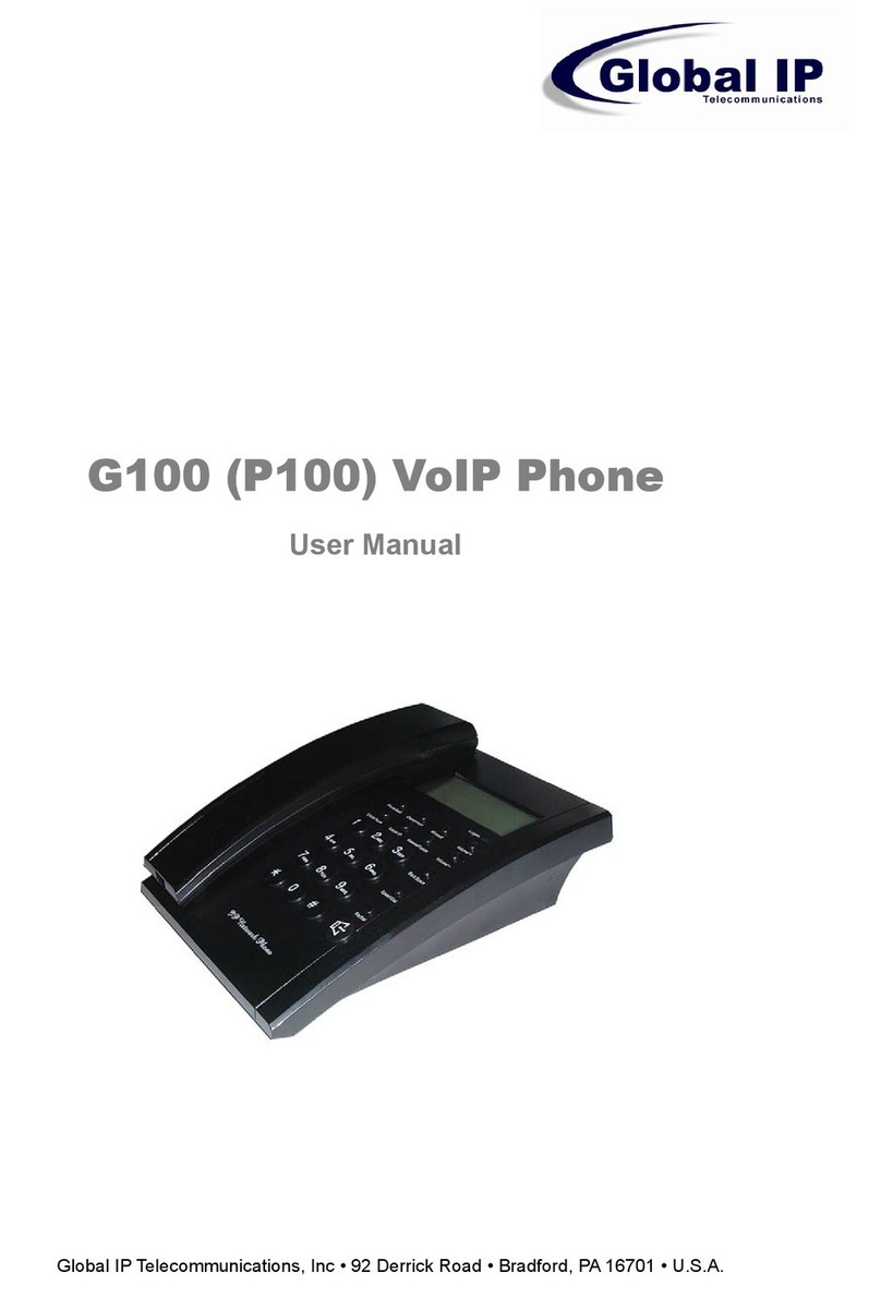Global IP G100 user manual