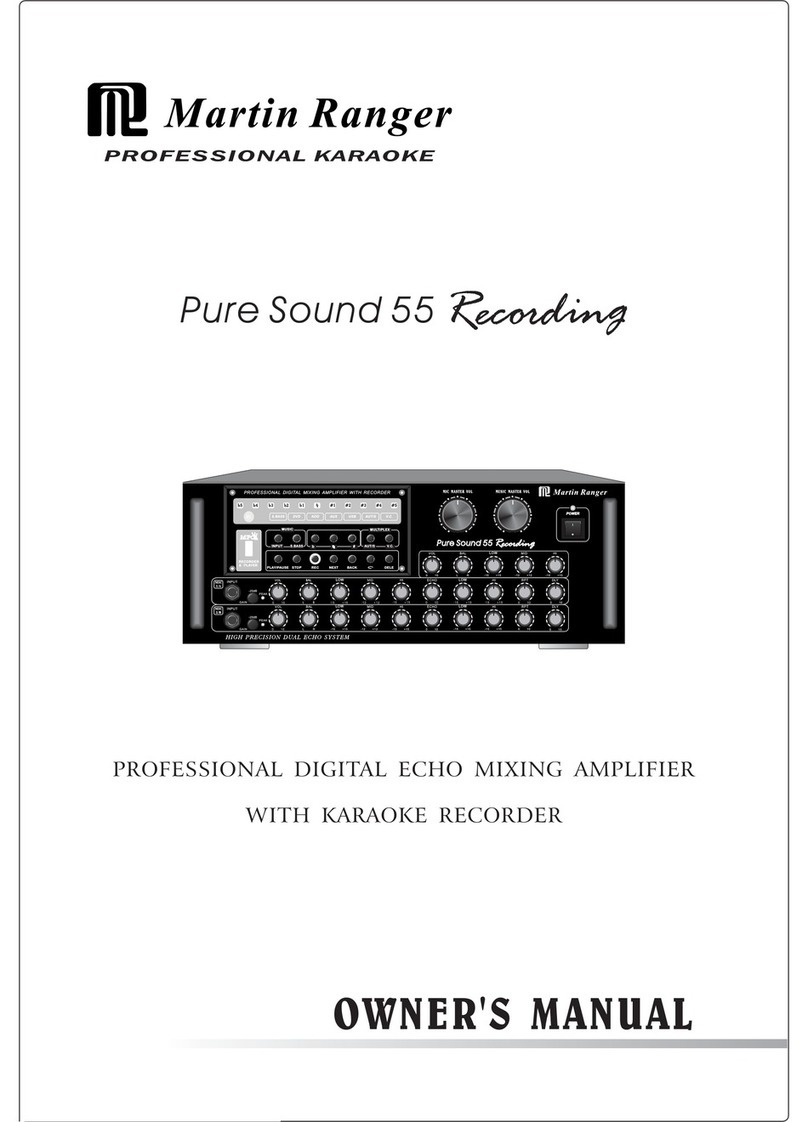 Martin Ranger Pure Sound 55 owner's manual