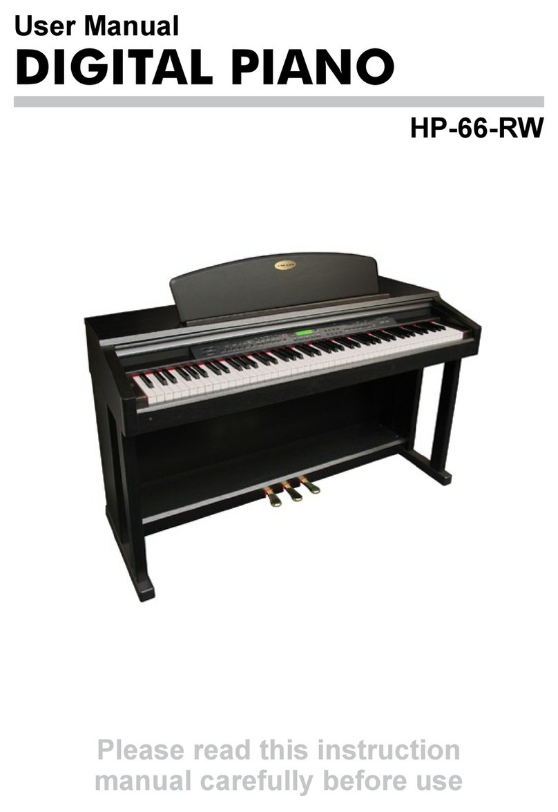 Galaxy HP-66-RW user manual