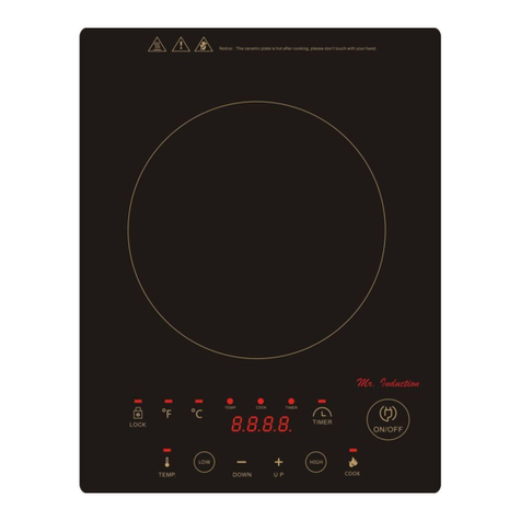Mr. Induction SR-963T User manual