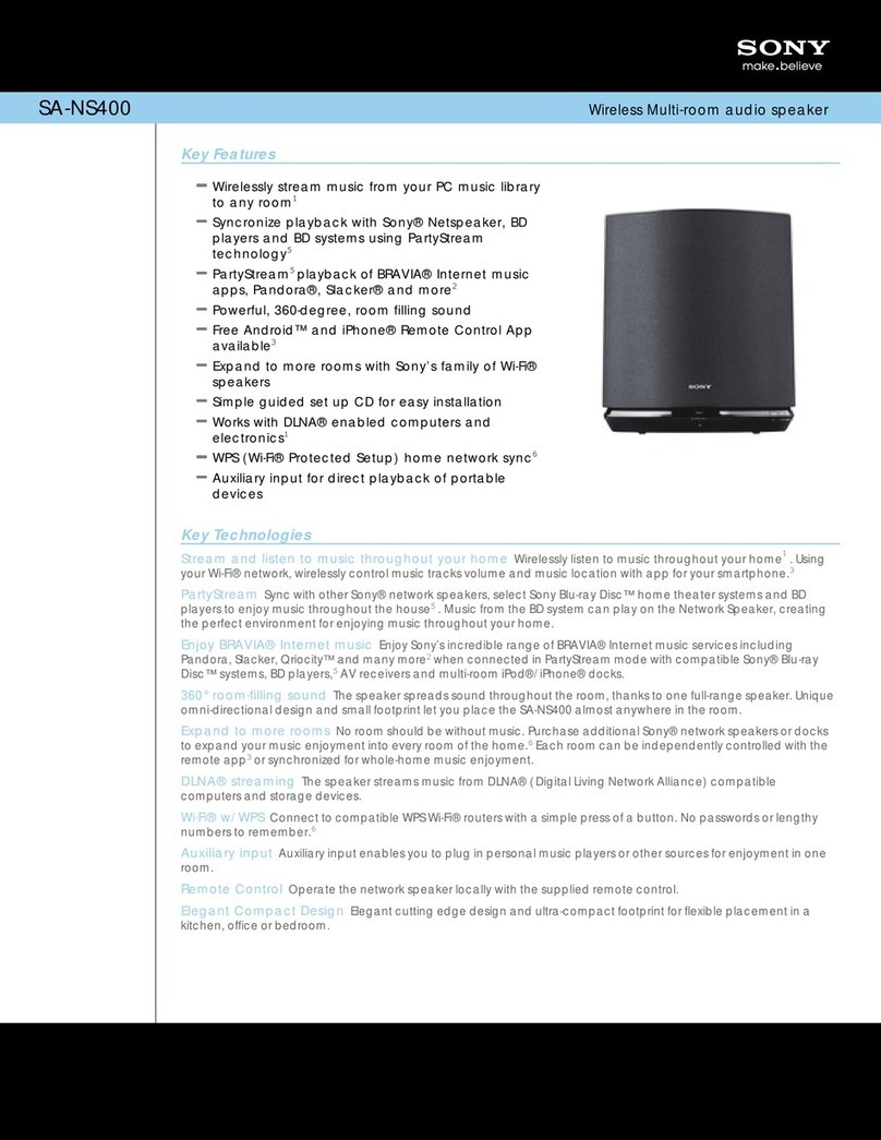 Sony SA-NS400 Features