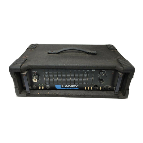 Laney DP300 user manual