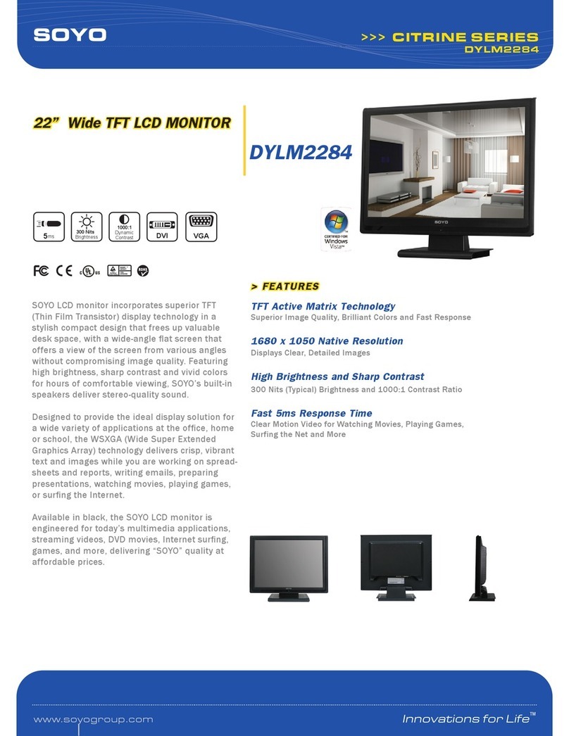 SOYO DYLM2284 User manual