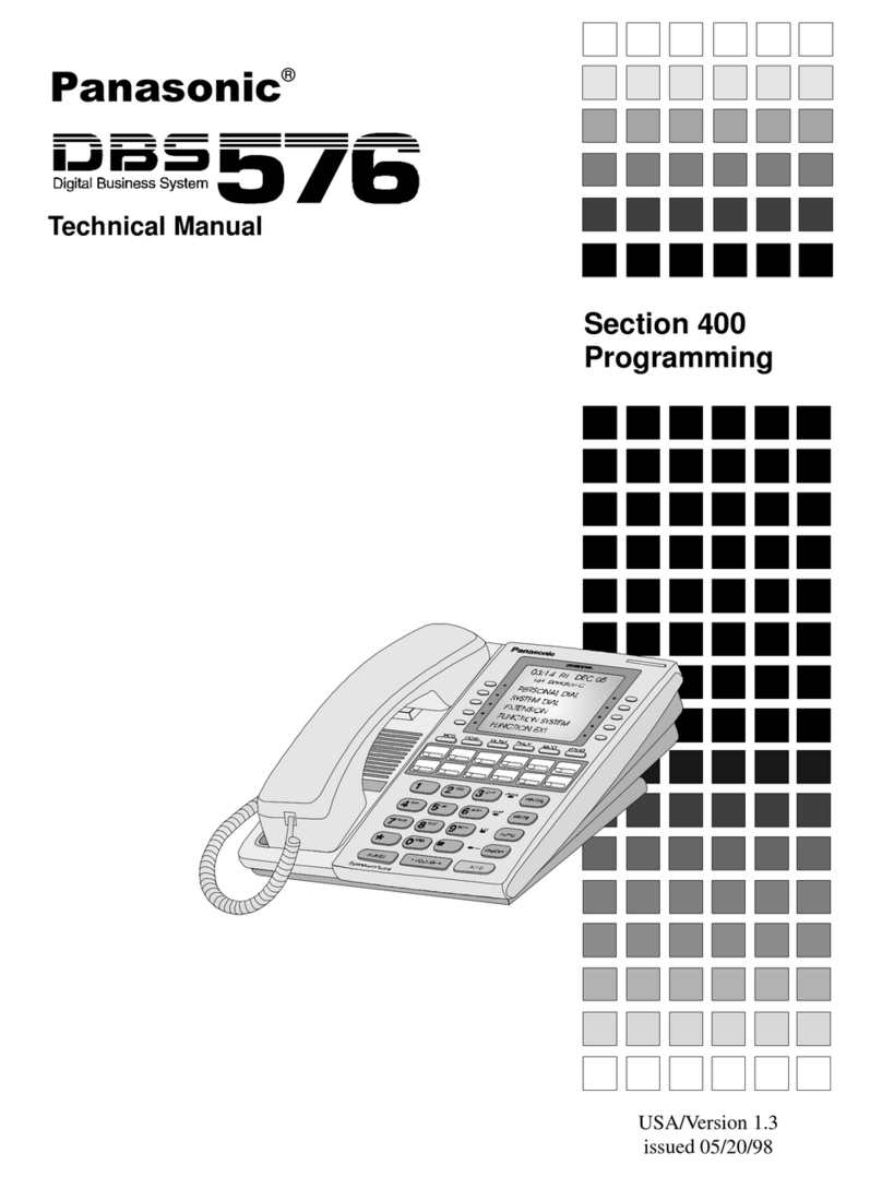 Panasonic DBS 576 Section 300 User manual