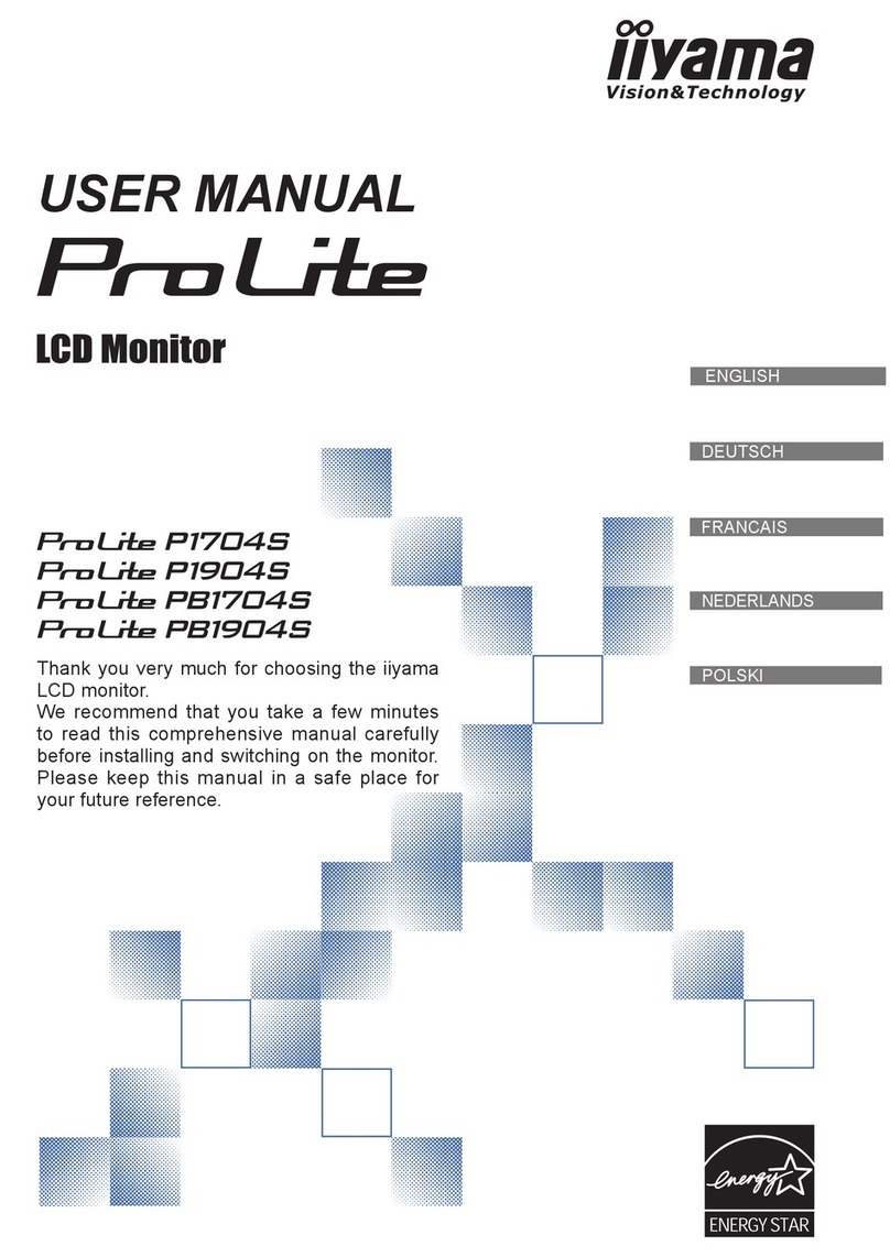 Iiyama P1704S User manual