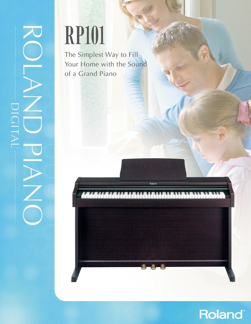 Roland RP101 User manual