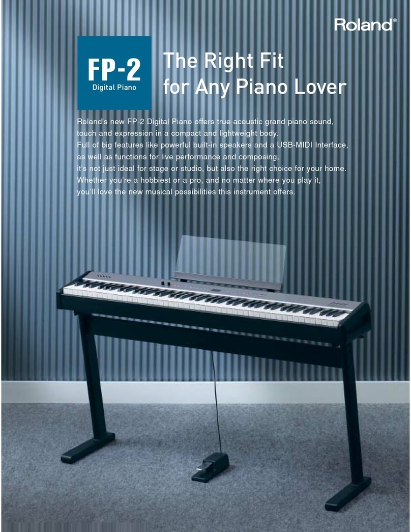 Roland FP-2 User manual