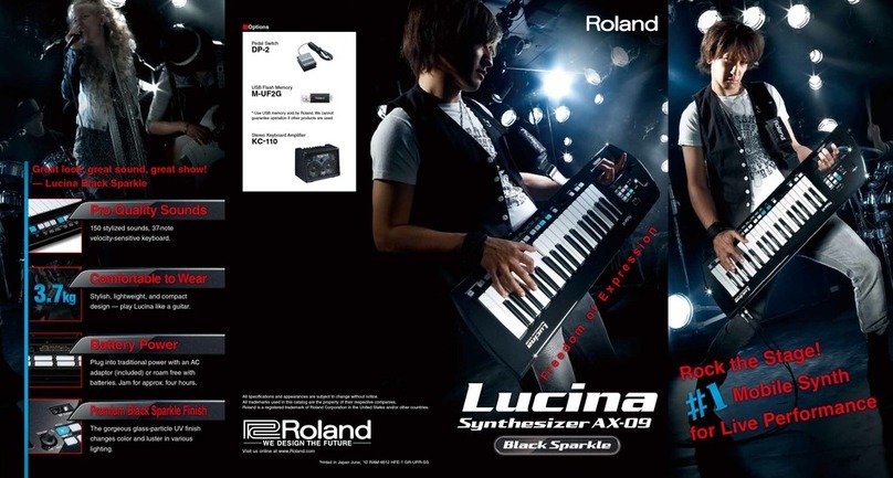 Roland Lucina AX-09 User manual
