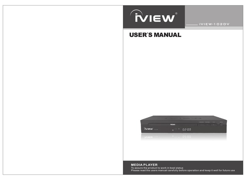 I-View 102DV user manual