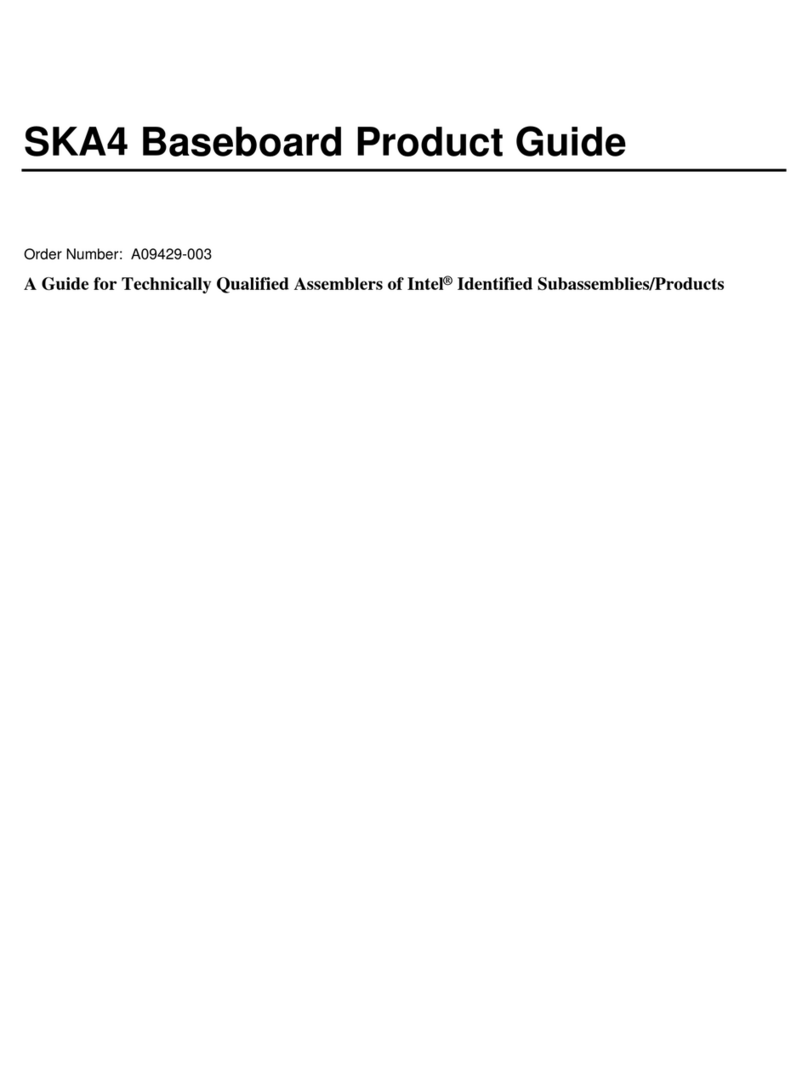 Intel SKA4 User manual
