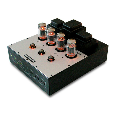 Audio Research VSi55 User manual