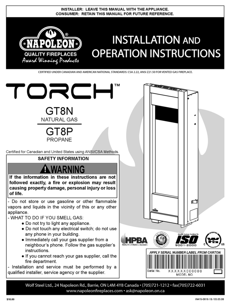Napoleon TORCH GT8P User manual