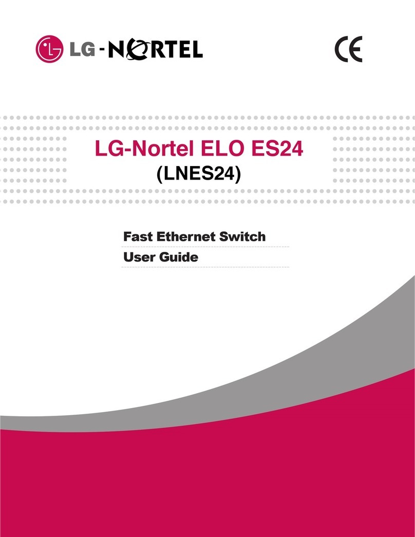 LG-Nortel LNES24 user guide