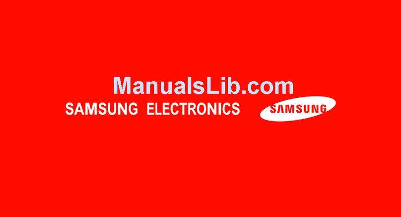 Samsung Vodafone SGH-E250V user guide