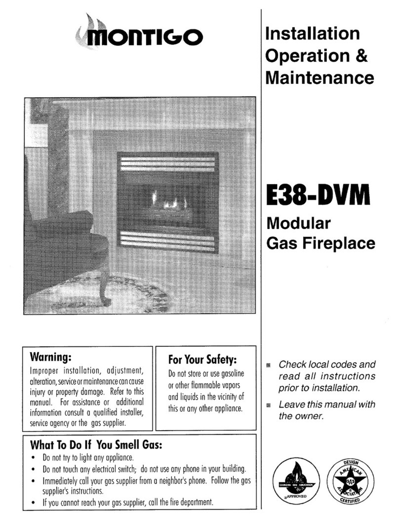 Montigo E38-DVM Owner's manual