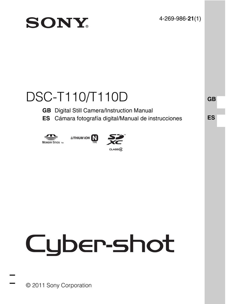Sony Cyber-shot DSC-T110 User manual