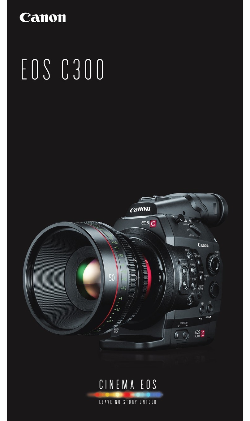 Canon EOS C300 Brochure & specs