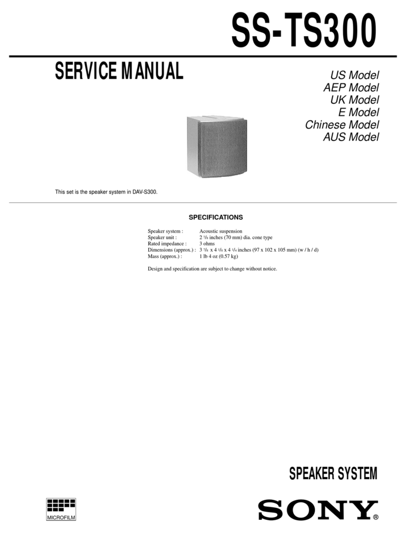 Sony SS-TS300 User manual