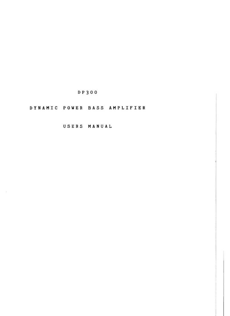Laney DP300 user manual