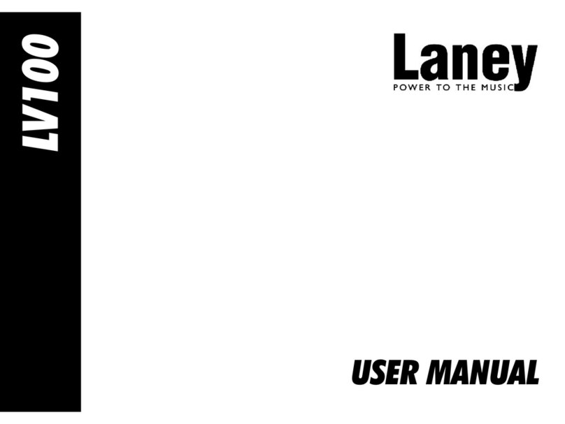 Laney LV100 User manual