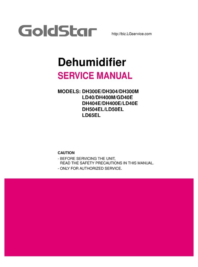 Goldstar DH300E Service manual