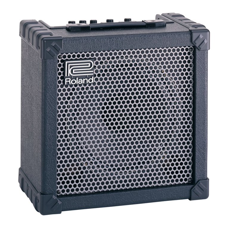 Roland CUBE 30 Operating and maintenance manual
