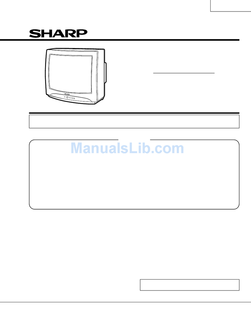 Sharp 19U-M100 User manual