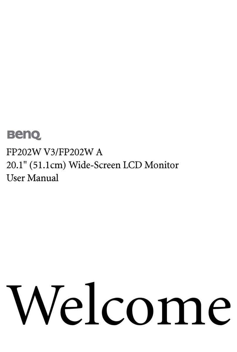 BenQ FP202W V3 User manual