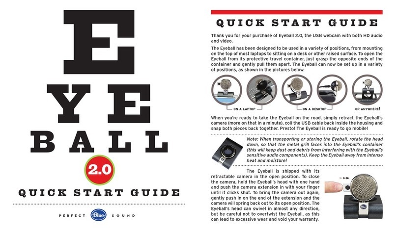 Perfect Sound Eye Ball 2.0 quick start guide