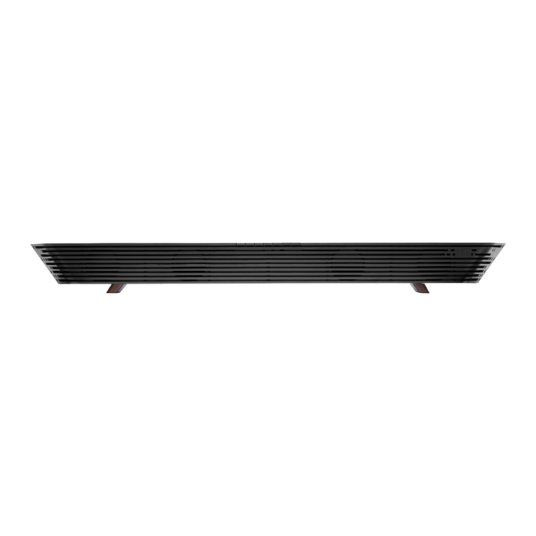 Polk Audio N1 Information sheet