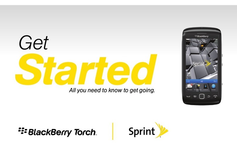 Blackbe;rry Torch 9850 Specification sheet