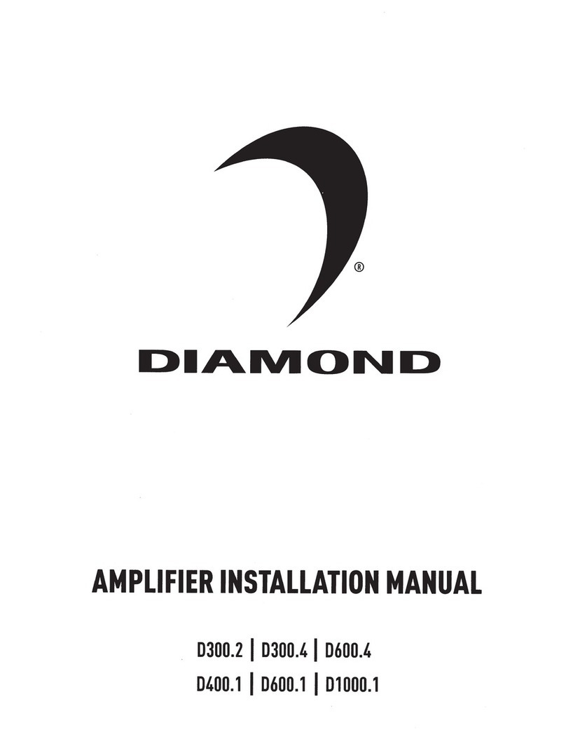 Diamond Audio D300.2 User manual