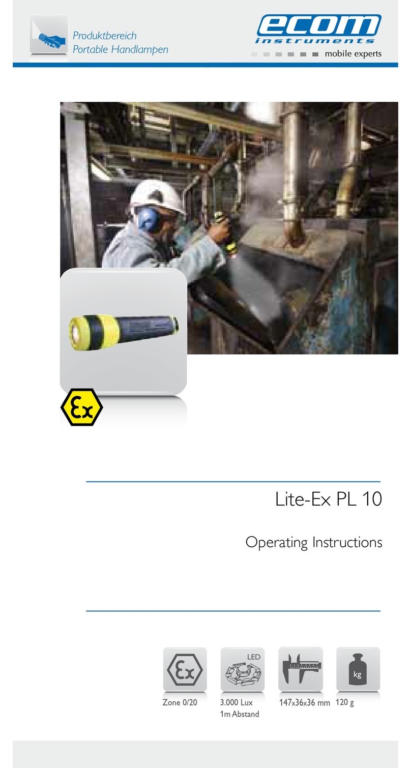 Ecom Instruments Lite-Ex PL 10 User manual