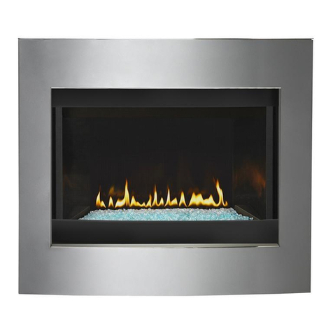 Napoleon BGD36CFNTR User manual