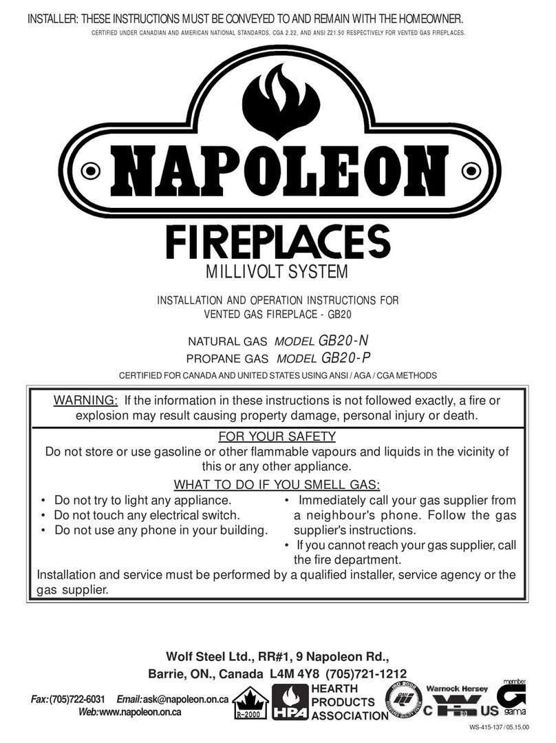 Napoleon GB20-N User manual