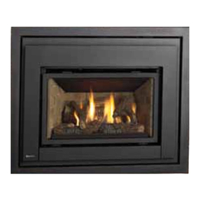 Regency Fireplace Products E18 Owners & installation manual